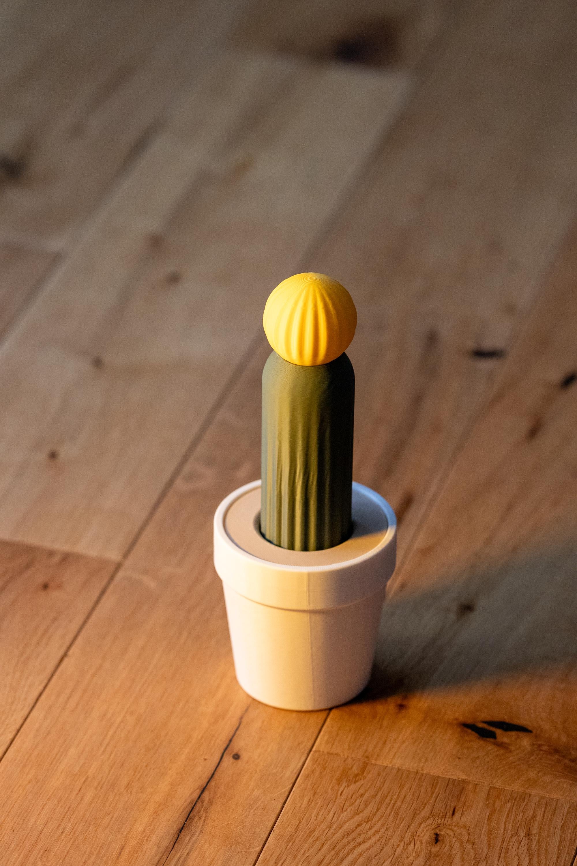 Cat Wand Toy: Pet-Safe Exercise for Cats & Kittens I 3D Printed