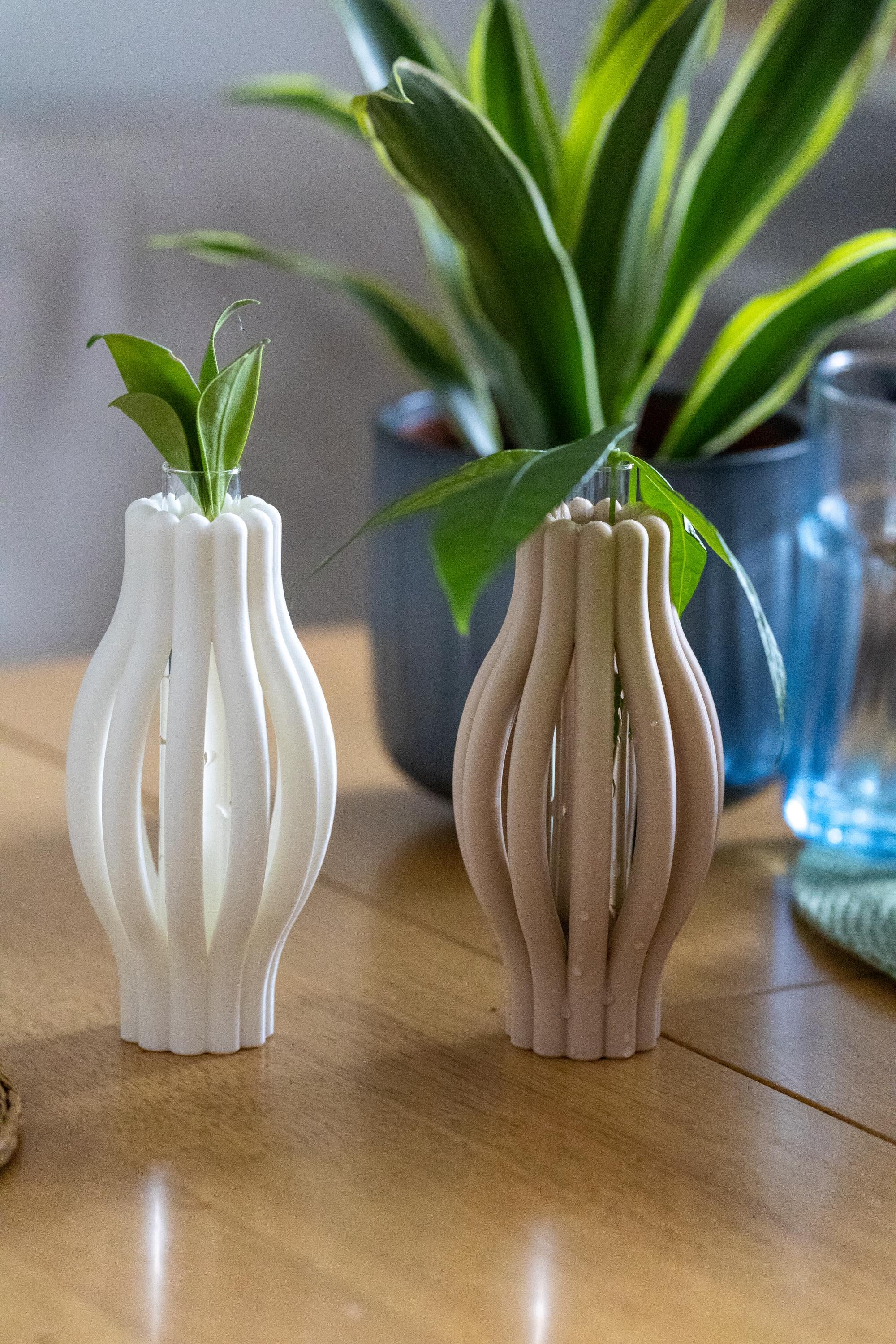 Minimalist Plant Propagation Station: 3D Printed with Glass Tube I Plant Lover Gift | Plant Nursery I Plant Vases I Wall Planter