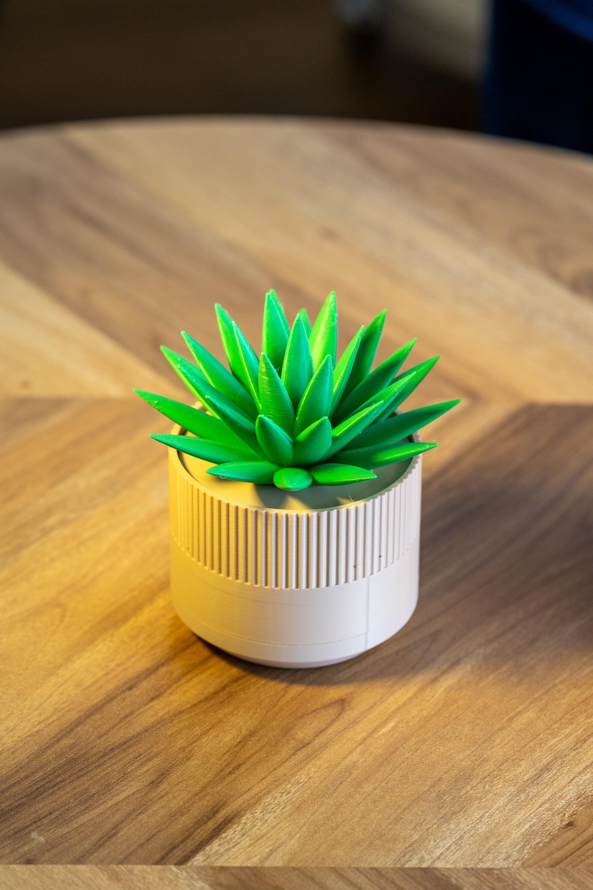 3D Printed Succulent Jewelry Stand: Collapsible Ring, Necklace & Earring Holder