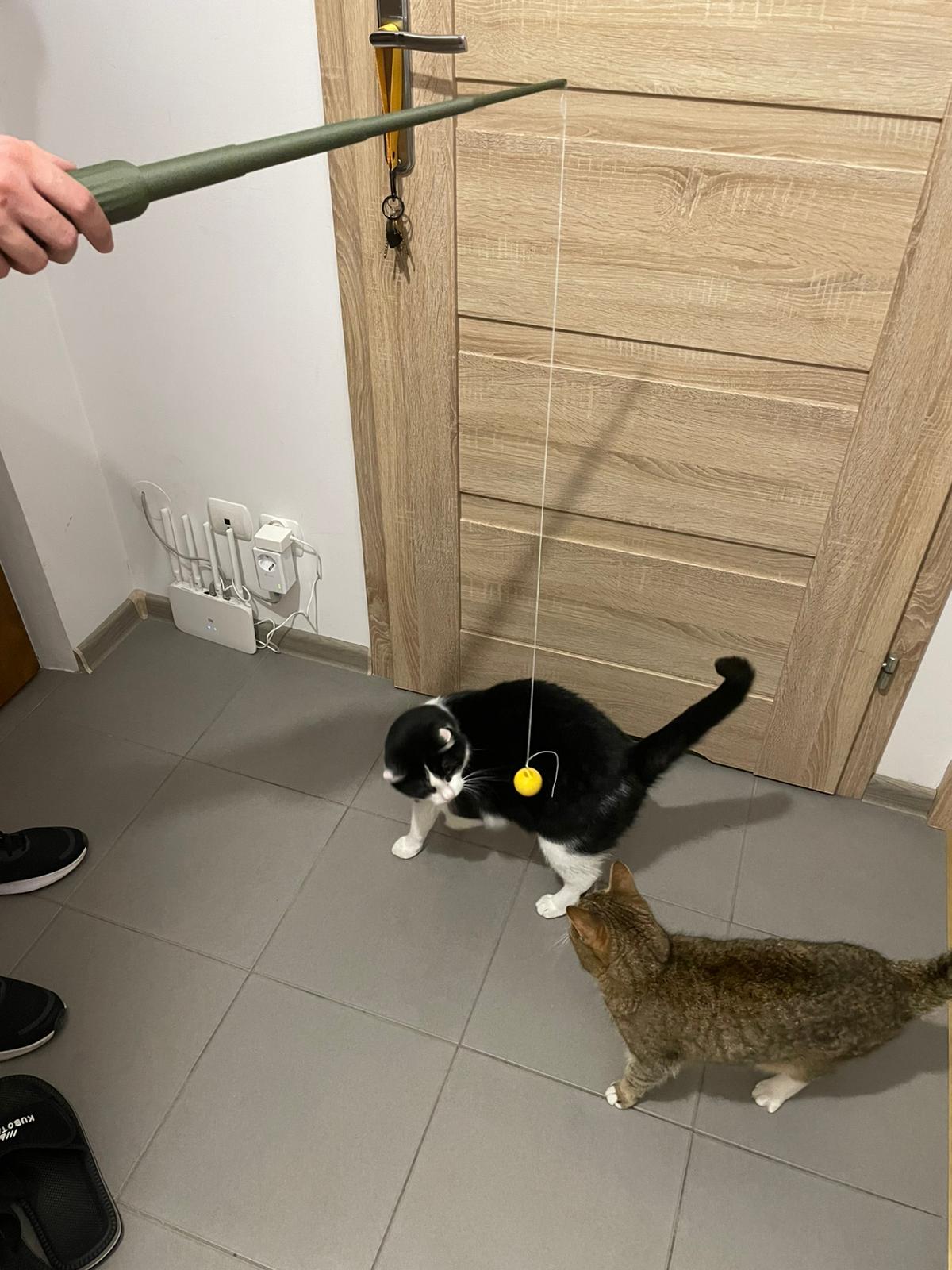 Cat Wand Toy: Pet-Safe Exercise for Cats & Kittens I 3D Printed