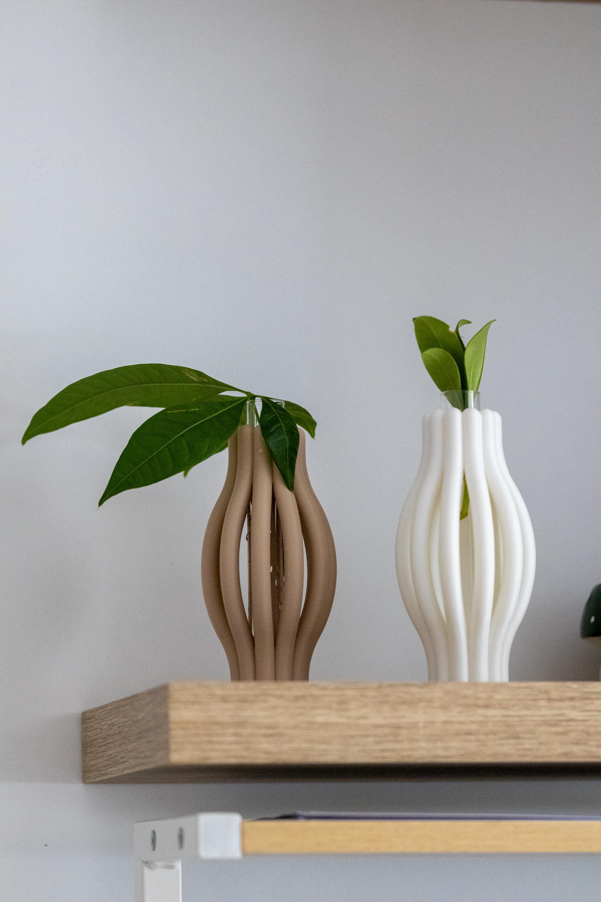 Minimalist Plant Propagation Station: 3D Printed with Glass Tube I Plant Lover Gift | Plant Nursery I Plant Vases I Wall Planter