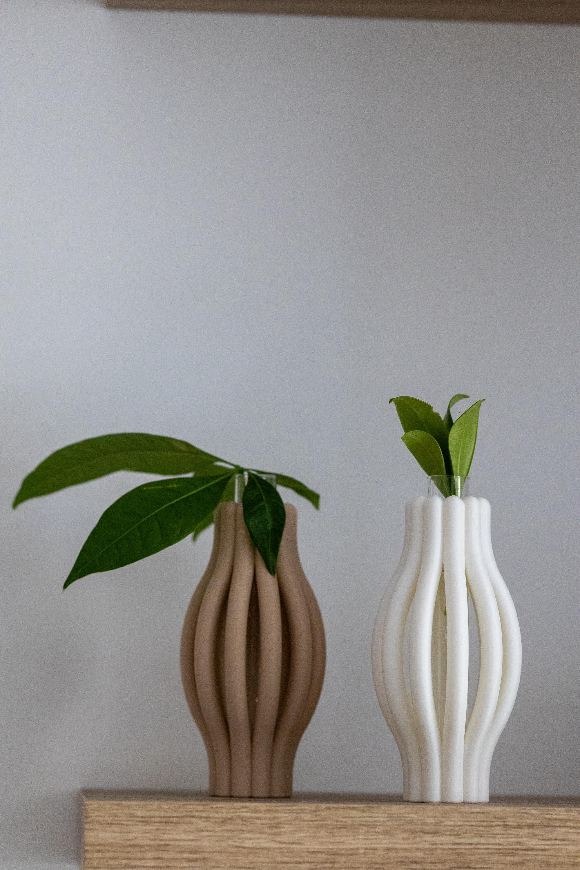 Minimalist Plant Propagation Station: 3D Printed with Glass Tube I Plant Lover Gift | Plant Nursery I Plant Vases I Wall Planter