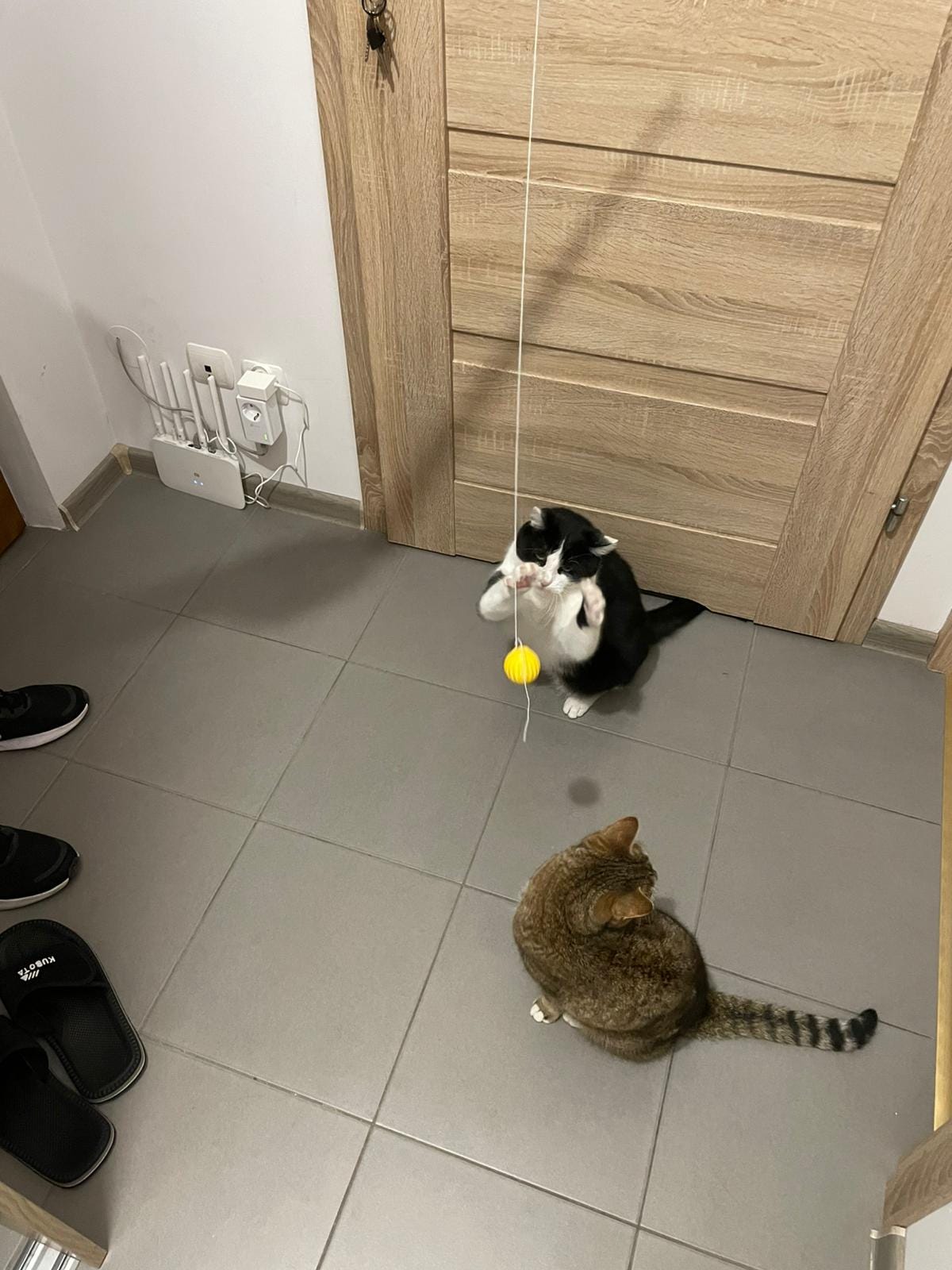 Cat Wand Toy: Pet-Safe Exercise for Cats & Kittens I 3D Printed