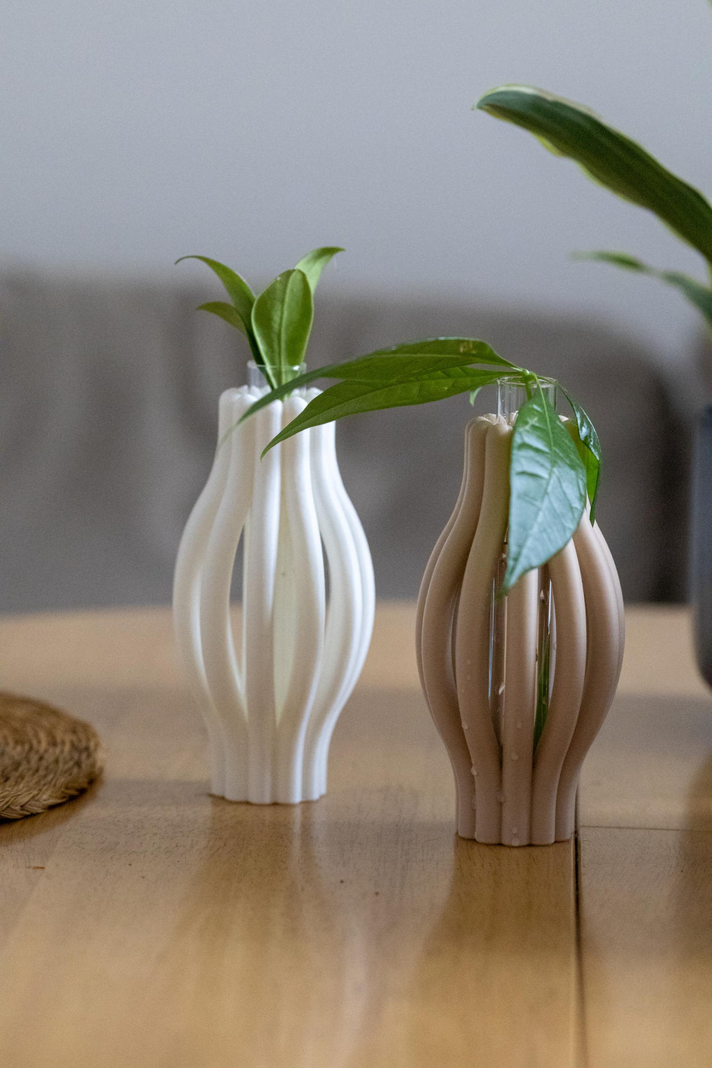 Minimalist Plant Propagation Station: 3D Printed with Glass Tube I Plant Lover Gift | Plant Nursery I Plant Vases I Wall Planter