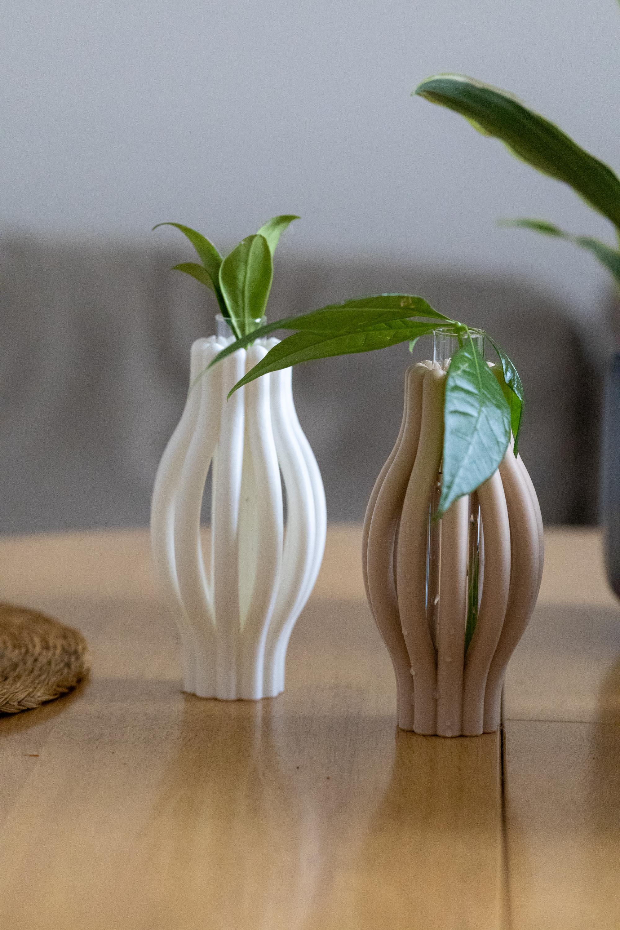 Minimalist Plant Propagation Station: 3D Printed with Glass Tube I Plant Lover Gift | Plant Nursery I Plant Vases I Wall Planter