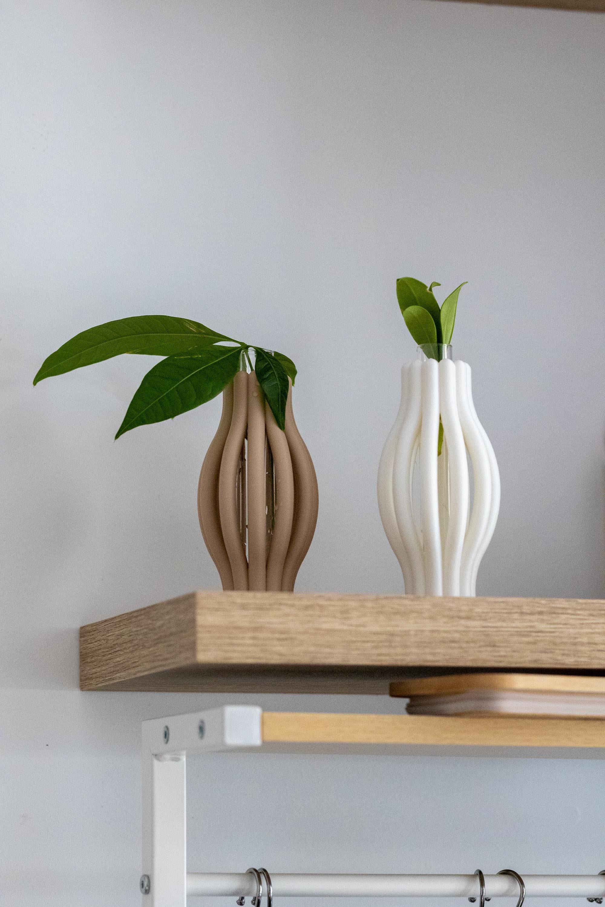 Minimalist Plant Propagation Station: 3D Printed with Glass Tube I Plant Lover Gift | Plant Nursery I Plant Vases I Wall Planter