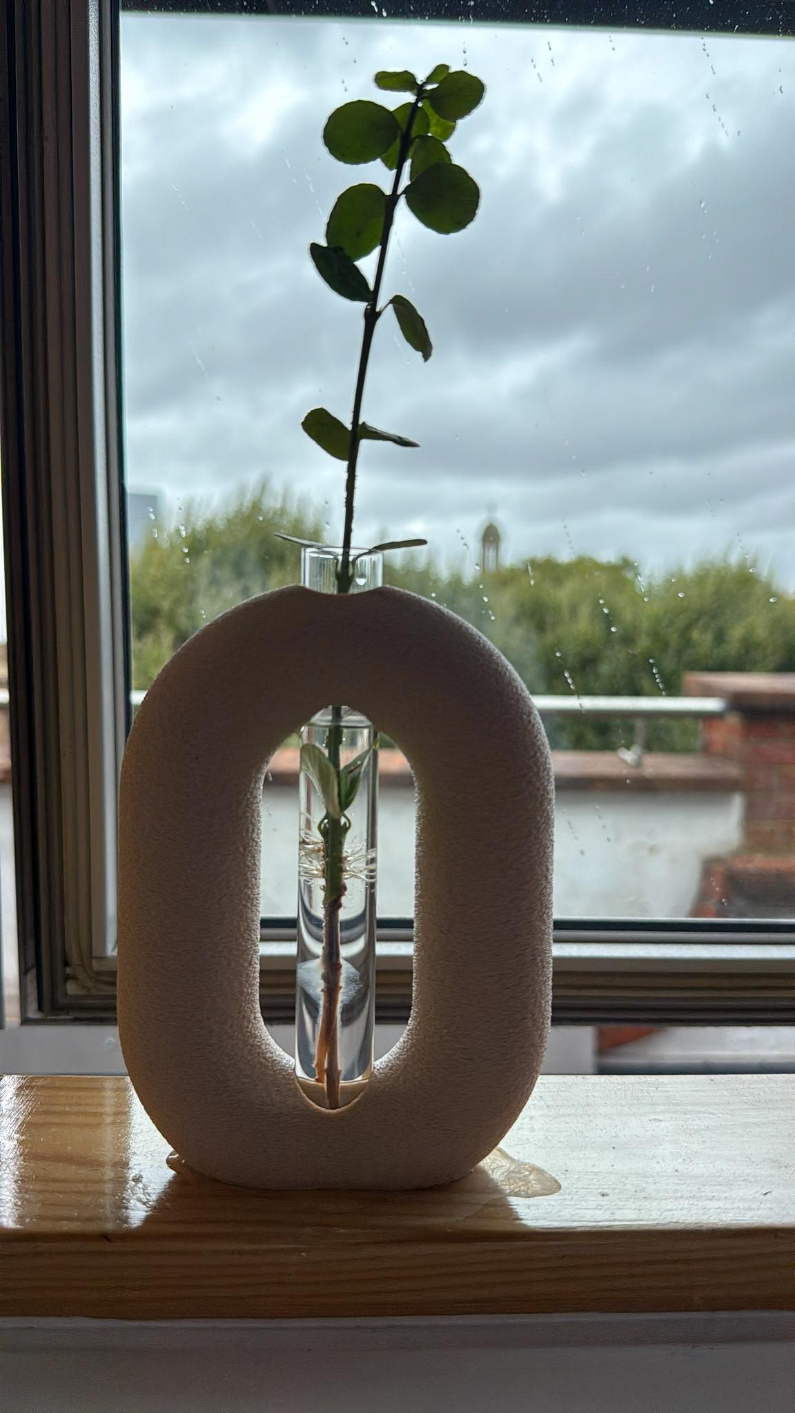 Minimalist Plant Propagation Station: 3D Printed Vase Set with Glass Tubes
