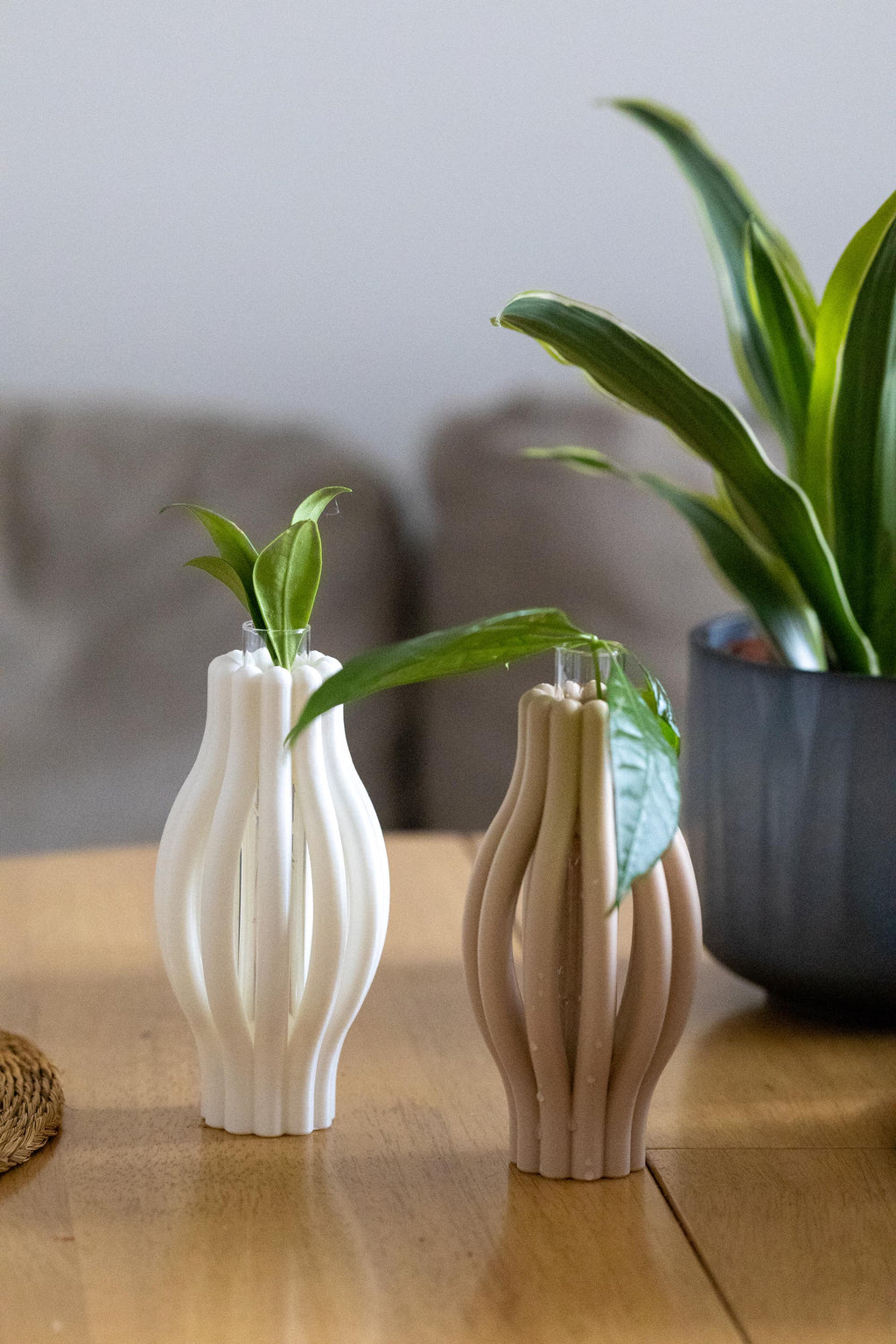 Minimalist Plant Propagation Station: 3D Printed with Glass Tube I Plant Lover Gift | Plant Nursery I Plant Vases I Wall Planter