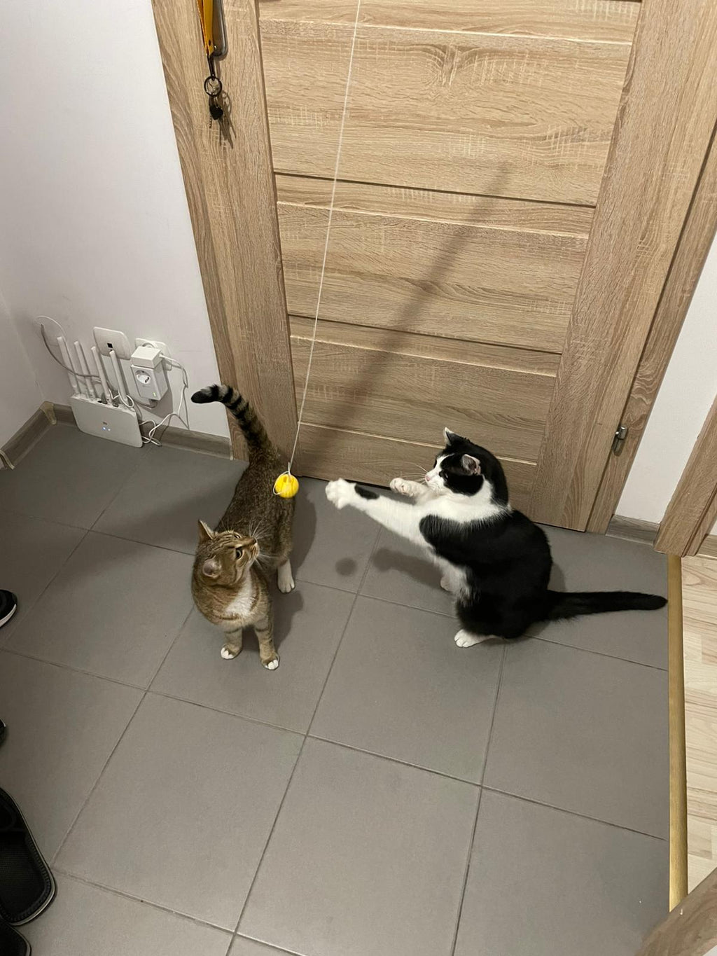 Cat Wand Toy: Pet-Safe Exercise for Cats & Kittens I 3D Printed