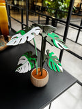 Monstera Coffee Coasters