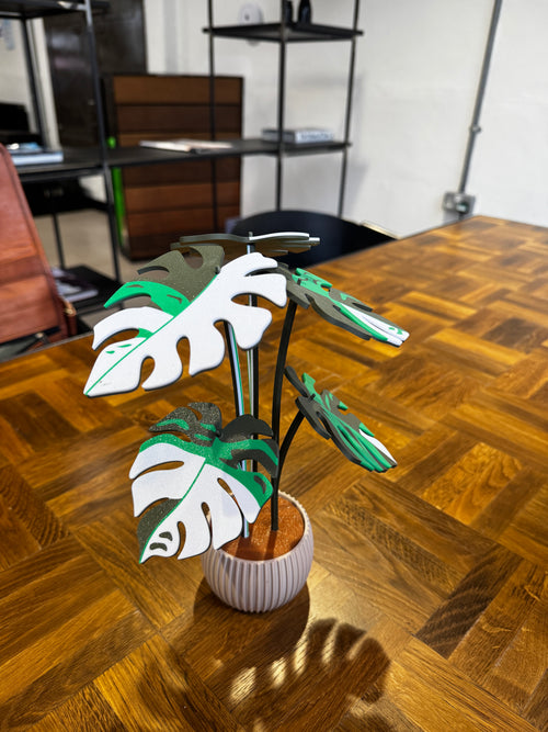 Monstera Coffee Coasters