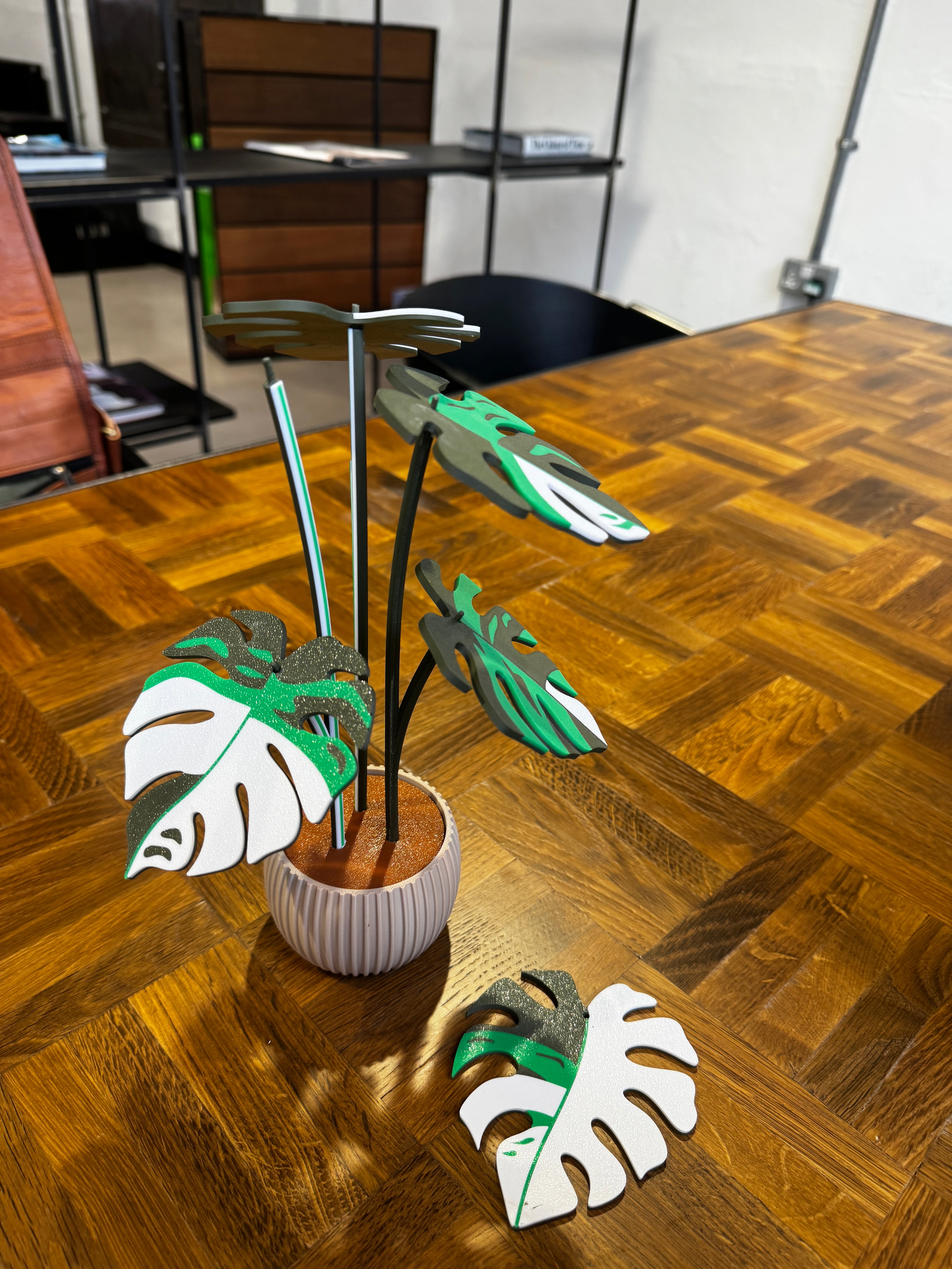 Monstera Coffee Coasters