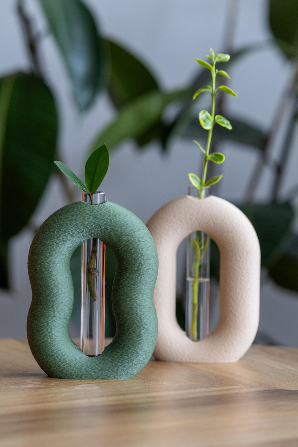 Minimalist Plant Propagation Station: 3D Printed Vase Set with Glass Tubes